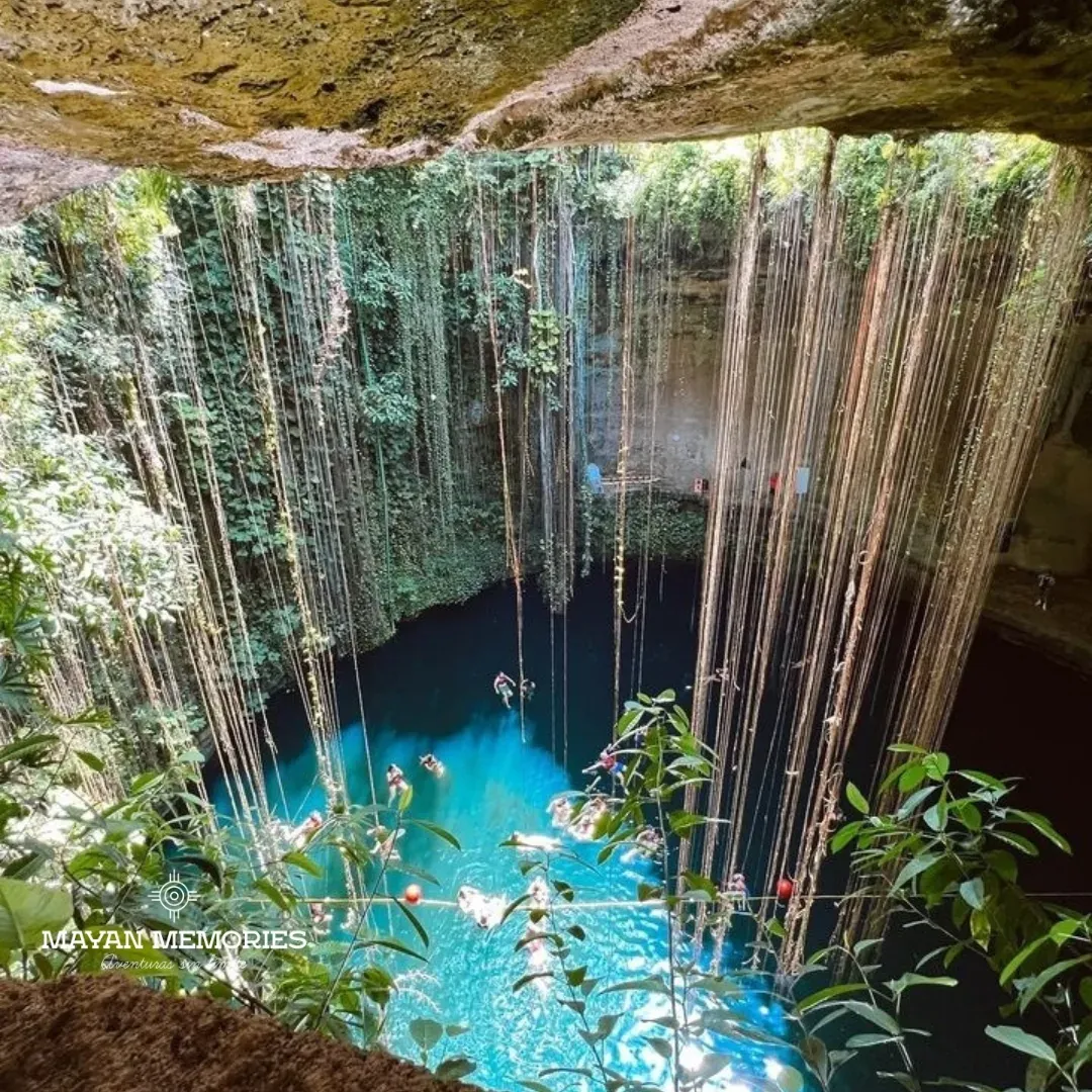 Ik Kil cenote seen from above with hanging roots
