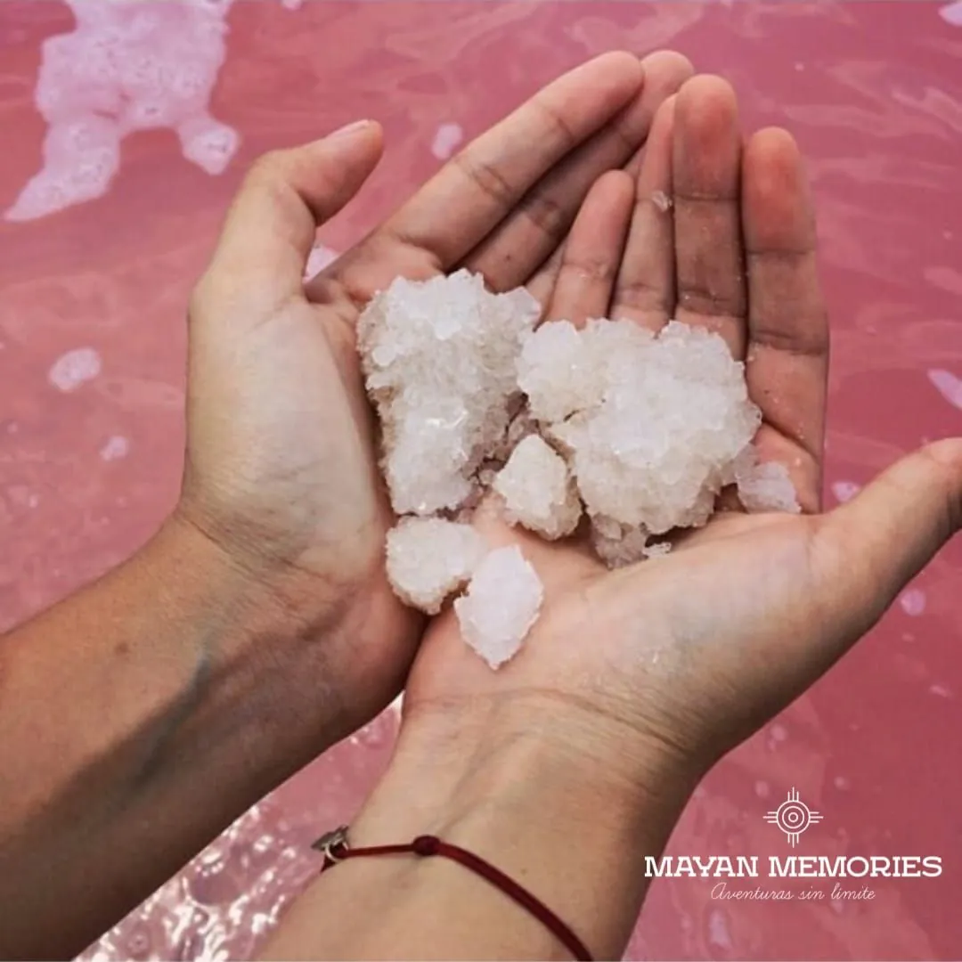 Hands holding salt crystals from Las Coloradas