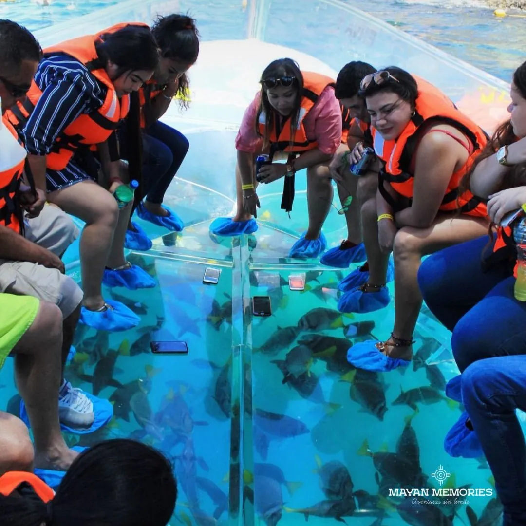 Group in life jackets on the transparent floor watching fish