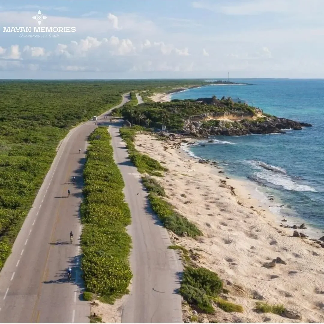 Aerial view of the coastal road between jungle and sea