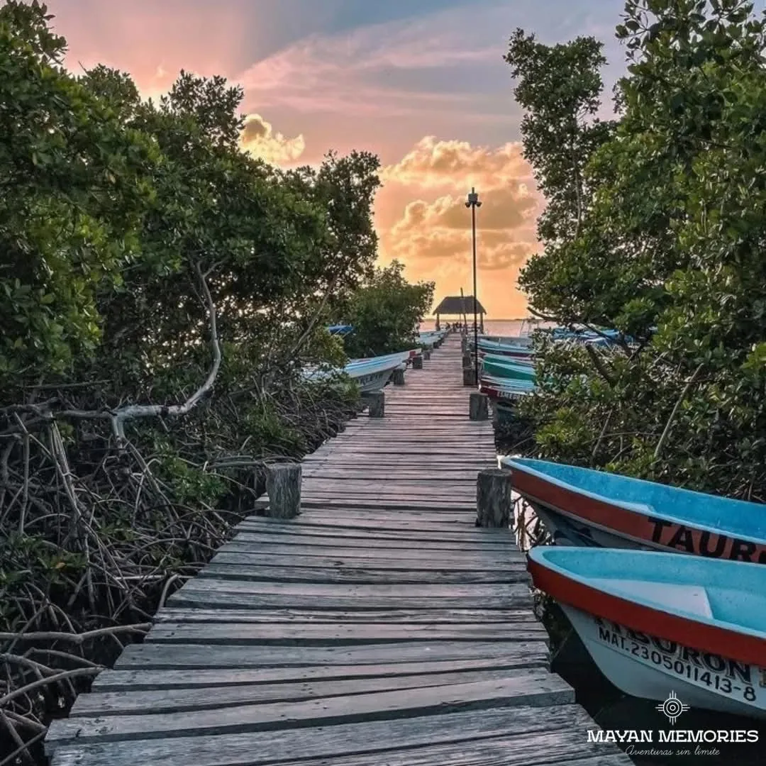 Wooden pier with boats at sunset