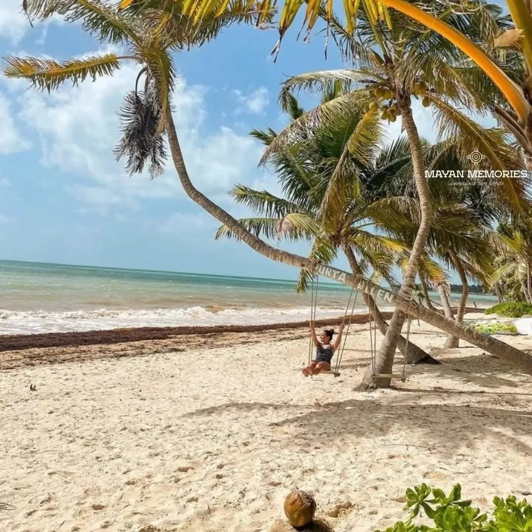 Beach with palm trees and a swing by the sea