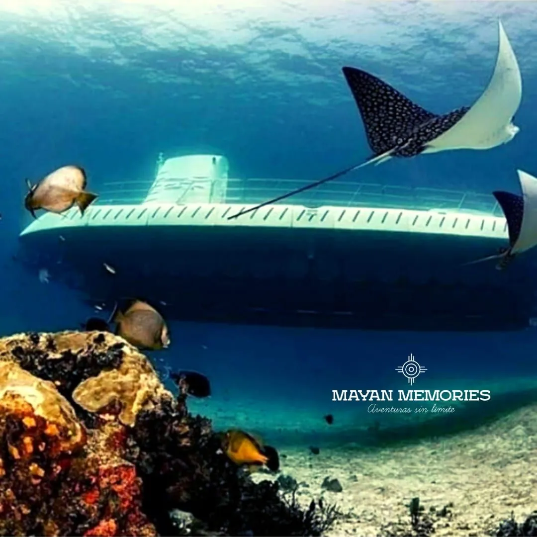 Tourist submarine underwater beside an eagle ray and coral