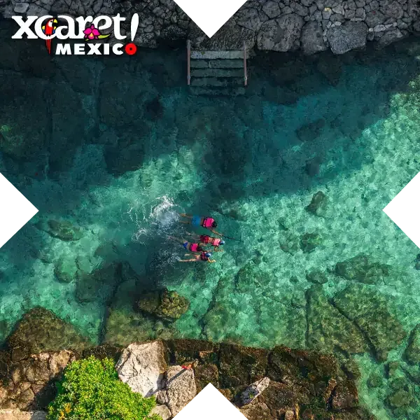 Aerial view of swimmers in a turquoise inlet
